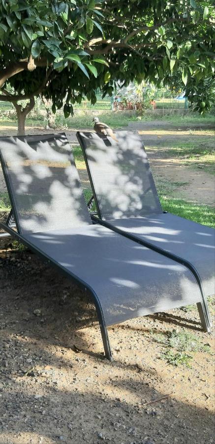 Cirali Friends Pension&Camping מראה חיצוני תמונה