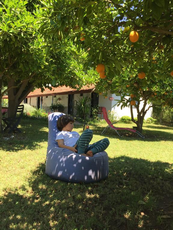 Cirali Friends Pension&Camping מראה חיצוני תמונה