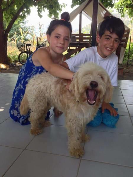 Cirali Friends Pension&Camping מראה חיצוני תמונה