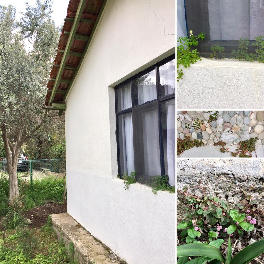 Cirali Friends Pension&Camping מראה חיצוני תמונה