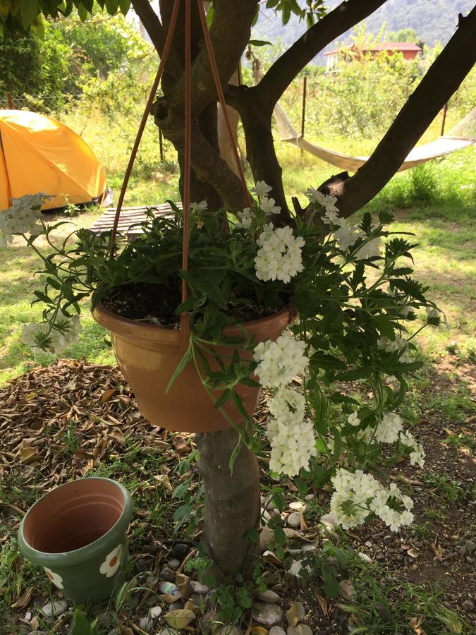 Cirali Friends Pension&Camping מראה חיצוני תמונה