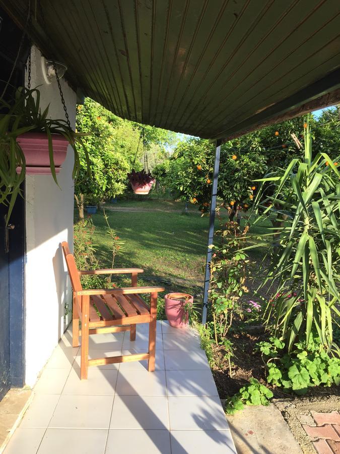 Cirali Friends Pension&Camping מראה חיצוני תמונה