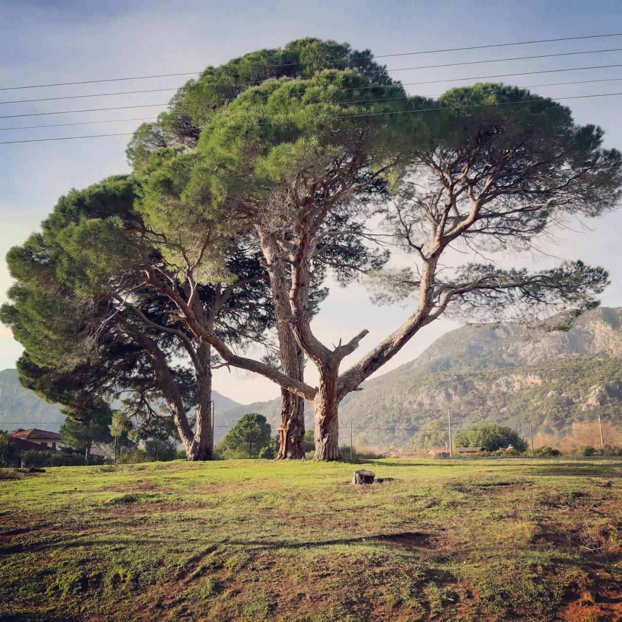 Cirali Friends Pension&Camping מראה חיצוני תמונה