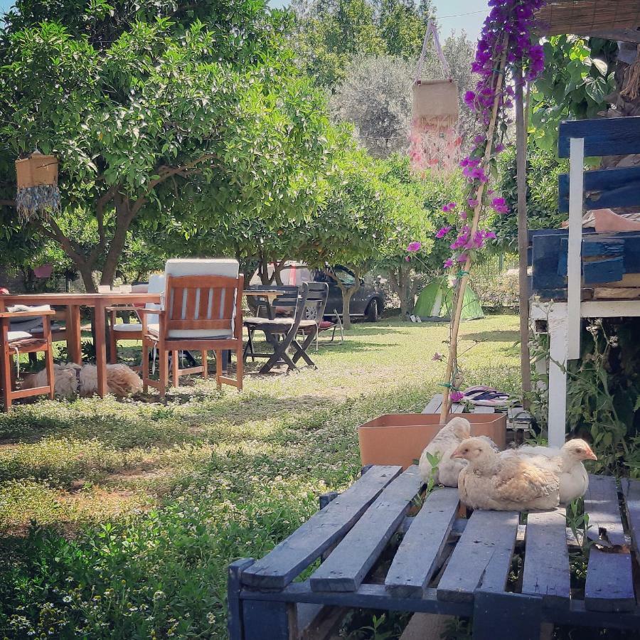 Cirali Friends Pension&Camping מראה חיצוני תמונה