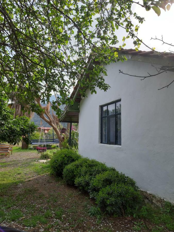 Cirali Friends Pension&Camping מראה חיצוני תמונה